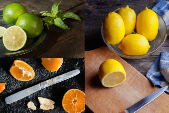 Citrus Fruit