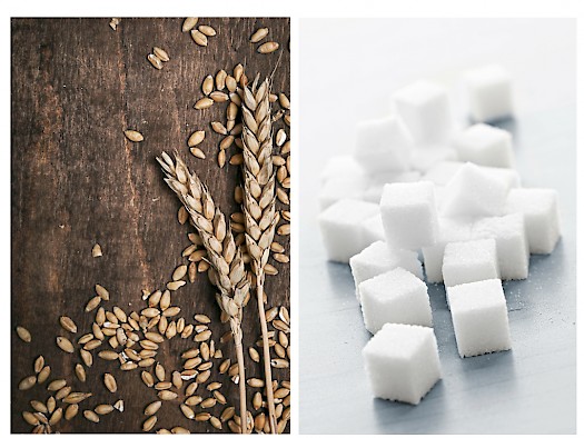wheat & sugar